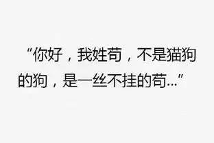 搞笑介绍自己姓氏表情包合集你好,我姓黄,红绿灯的黄