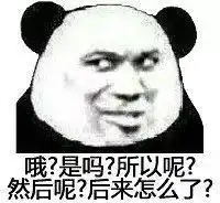 表情包还是沙雕熊猫头好使