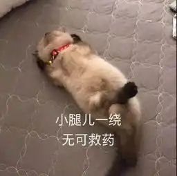 表情包小腿儿一蹬,与世无争