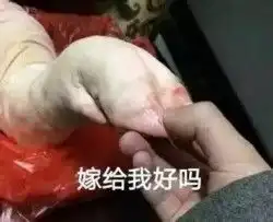 猪蹄的味道表情包