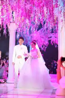 贾乃亮李小璐昨日奉子成婚未透露产期