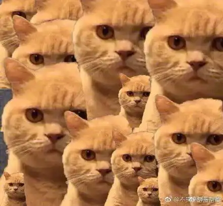 测试一个超长简介的文章