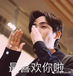 oursla使用说明书no.5