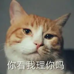 发表情表情包大全微信表情包qq表情包fabiaoqing.com