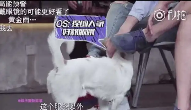 阮经天被狗子抱腿侵犯成表情包,黄景瑜陈赫当场疯笑