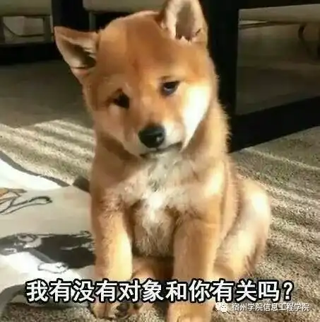 不得不吃的狗粮爸妈赠