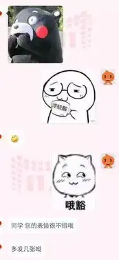 淘宝客服回复,笑掉了我几个g的表情包