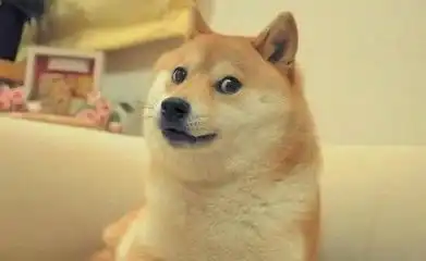肌肉柴犬与cheems表情包