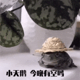 搞怪斗图必备表情