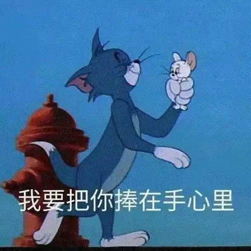 今日份表情包请接收