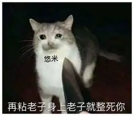 更看好哪组s9有可能出现的下路组合