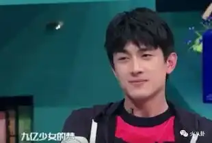 哈哈哈哈脑瓜疼刘烨雷佳音东北f4,东北明星咋这么搞笑