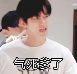 exo边伯贤带字搞笑表情包大全略略略