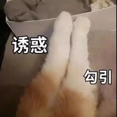 今秋必火的淡漠色,请把气质穿在身上