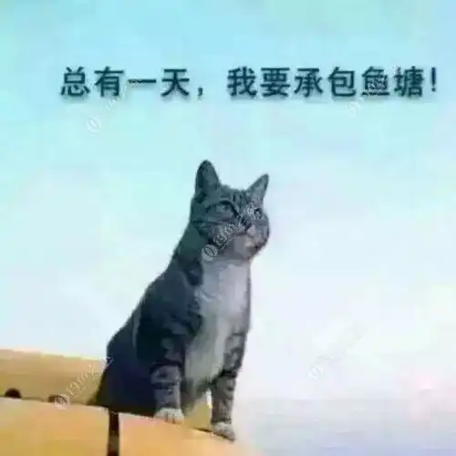 老年人钓鱼黄金指南,年轻人也要明白