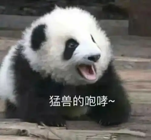 表情包你的宝贝已经睡着了