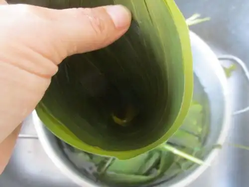 咸粽子vs甜粽子,学会两种包法都不难,软糯好吃不漏米,值得收藏