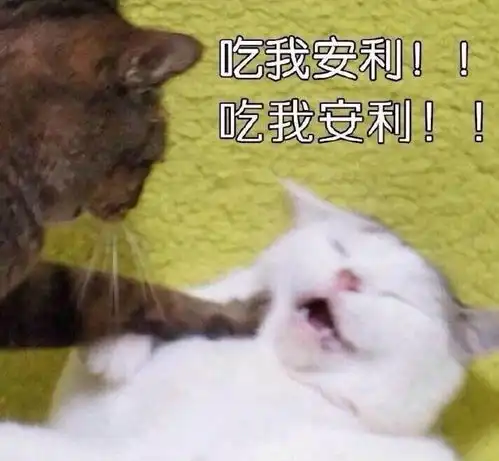 美国总有一天会被打败...