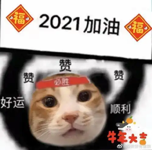 快保存最适合过年搞钱的99个猫表情包