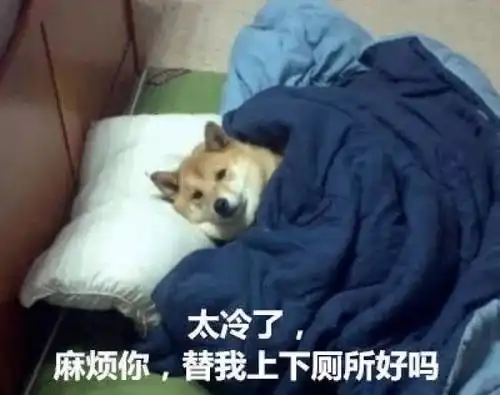 真的好冷