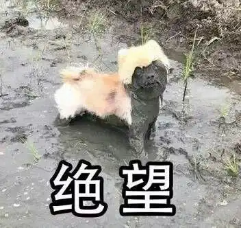 已经染色了的衣服怎么补救