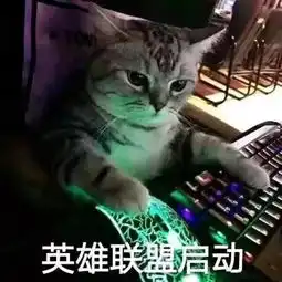表情包大郎该吃药了