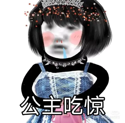 沙雕表情包公主熊猫头yyds